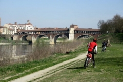 Lungo il Ticino - Pavia