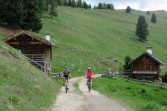 Nei pressi di Malga Bocche (Trentino)